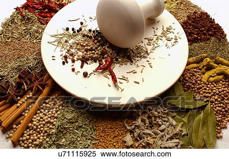 Various spices around mortar and pestle, white background View Large Photo Image Stock Photography - Various spices around mortar and pestle, white background. Fotosearch
