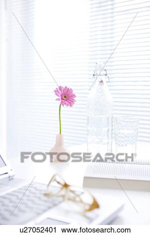 Stock Image - Vase of pink gerbera daisy on desk. Fotosearch