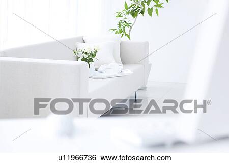 Vase of white flowers and coffee setting on sofa, differential focus View Large Photo Image Stock Photograph - Vase of white flowers and coffee setting on sofa, differential focus. Fotosearch