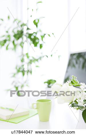 Vase of white roses and potted plants in office View Large Photo Image Stock Photo - Vase of white roses and potted plants in office. Fotosearch