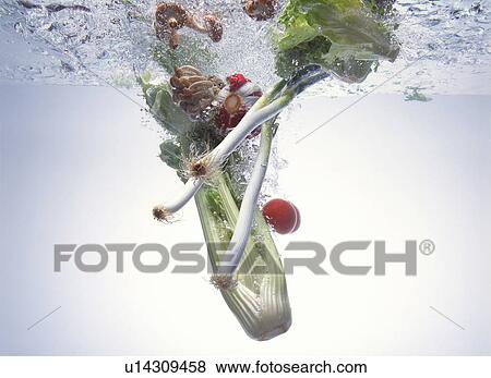 Stock Photo - Vegetable in the Water. Fotosearch