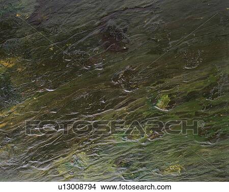 Picture - Wall, backgrounds. Fotosearch