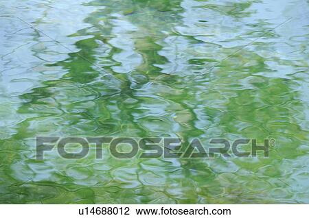 Stock Image - Water surface, Yamanashi Prefecture, Honshu, Japan. Fotosearch