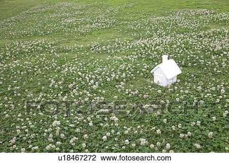 Stock Image - White Clover field and miniature house, Gunma Prefecture, Honshu, Japan. Fotosearch