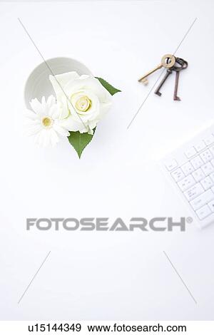 White flowers, keys and computer keyboard, white background View Large Photo Image Stock Photo - White flowers, keys and computer keyboard, white background. Fotosearch