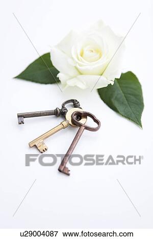 Stock Photo - White rose and keys on white background. Fotosearch