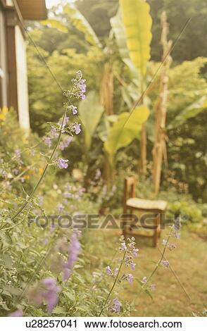 Stock Image - Wooden Chair in the Garden. Fotosearch