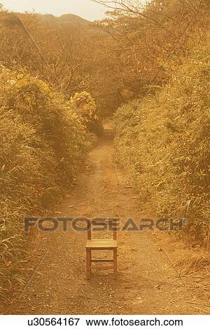 Stock Photo - Wooden Chair on Trail in Forest. Fotosearch