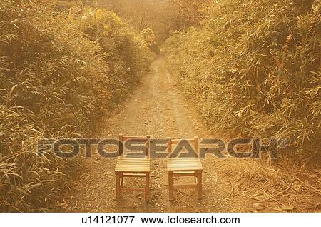 Stock Photo - Wooden Chairs on Trail in Forest. Fotosearch
