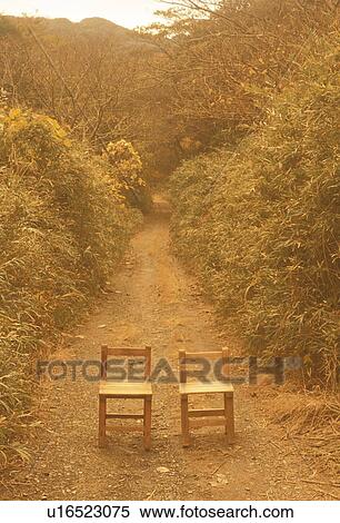 Wooden Chairs on Trail in Forest View Large Photo Image Stock Photography - Wooden Chairs on Trail in Forest. Fotosearch