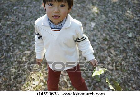 Stock Image - Young boy holding leaves. Fotosearch
