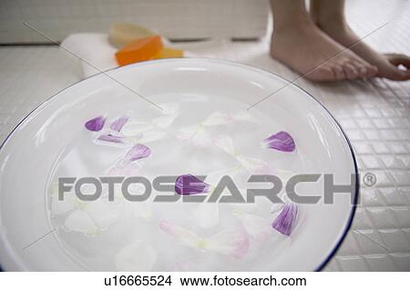 Young woman standing by bowl of water with flower petals, close up View Large Photo Image Picture - Young woman standing by bowl of water with flower petals, close up. Fotosearch