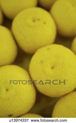 Stock Photo - Yuzu fruits, close up, full frame. Fotosearch