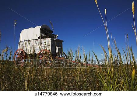 Stock Photograph - alberta, canada; a chuckwagon on the prairies. Fotosearch