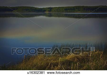 Stock Image - alberta, canada; the shoreline of a lake and clouds reflected in the water. Fotosearch
