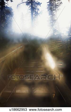 banff, alberta, canada; sunlight on wooden steps in the mountains View Large Photo Image Stock Image - banff, alberta, canada; sunlight on wooden steps in the mountains. Fotosearch