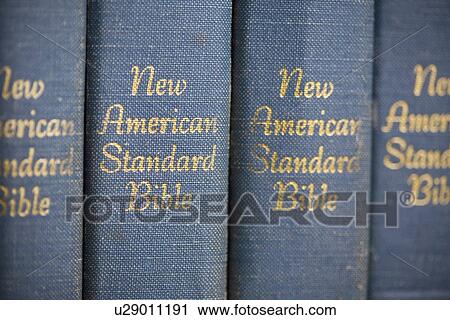 copies of the new american standard bible in a row View Large Photo Image Stock Image - copies of the new american standard bible in a row. Fotosearch