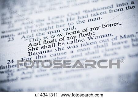Stock Image - genesis 2: 23 from the new american standard bible about adam and eve and creation. Fotosearch