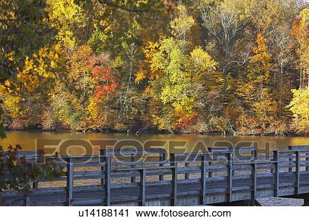 knoxville, tennessee, united states of america; trees along the shoreline in autumn and a wooden bridge View Large Photo Image Stock Image - knoxville, tennessee, united states of america; trees along the shoreline in autumn and a wooden bridge. Fotosearch