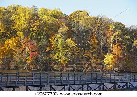 Stock Image - knoxville, tennessee, united states of america; trees along the shoreline and a wooden bridge. Fotosearch