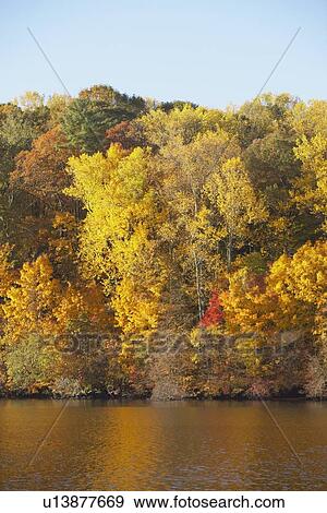 knoxville, tennessee, united states of america; trees along the shoreline in autumn View Large Photo Image Stock Photo - knoxville, tennessee, united states of america; trees along the shoreline in autumn. Fotosearch