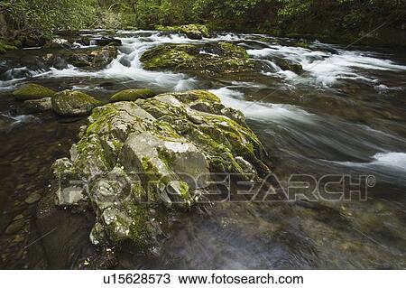 north carolina, united states of america; oconaluftee river cascades, rocks, and boulders in the great smoky mountains national park View Large Photo Image Stock Image - north carolina, united states of america; oconaluftee river cascades, rocks, and boulders in the great smoky mountains national park. Fotosearch