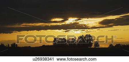 Stock Image - silhouette of trees under a sunset. Fotosearch