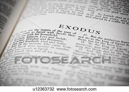 the book of exodus from the new american standard bible View Large Photo Image Stock Image - the book of exodus from the new american standard bible. Fotosearch