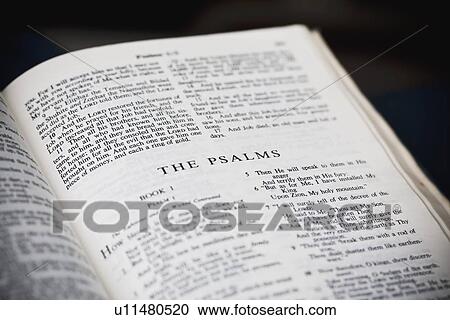 the new american standard bible open to the psalms View Large Photo Image Stock Image - the new american standard bible open to the psalms. Fotosearch