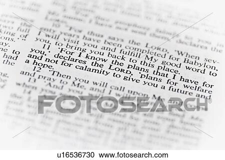 the new american standard bible open to jeremiah 29: 11 View Large Photo Image Stock Image - the new american standard bible open to jeremiah 29: 11. Fotosearch