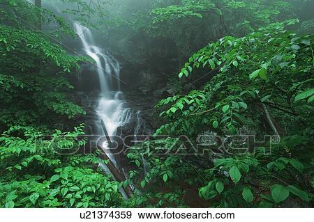 virginia, united states of america; fog and lush, green foliage surround lower doyles river falls in shenandoah national park View Large Photo Image Stock Photo - virginia, united states of america; fog and lush, green foliage surround lower doyles river falls in shenandoah national park. Fotosearch