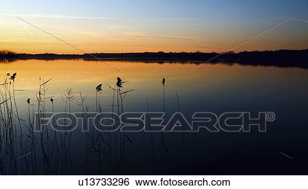 willmar, minnesota, united states of america; sunset over a lake View Large Photo Image Stock Photograph - willmar, minnesota, united states of america; sunset over a lake. Fotosearch