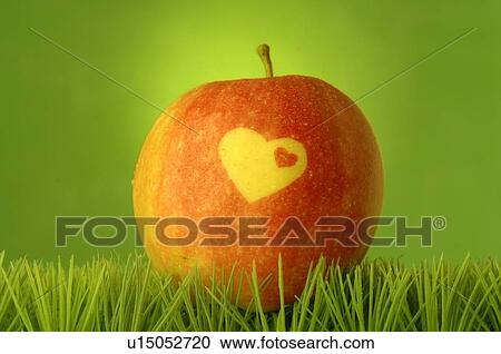 Apple with a heart pattern View Large Photo Image Stock Image - Apple with a heart pattern. Fotosearch