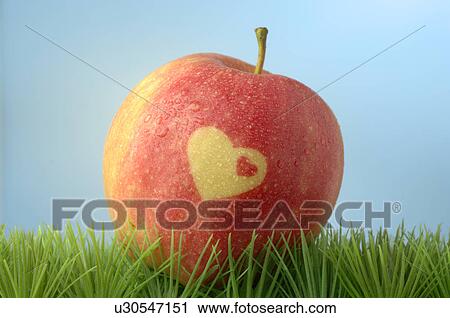 Apple with a heart pattern View Large Photo Image Stock Image - Apple with a heart pattern. Fotosearch