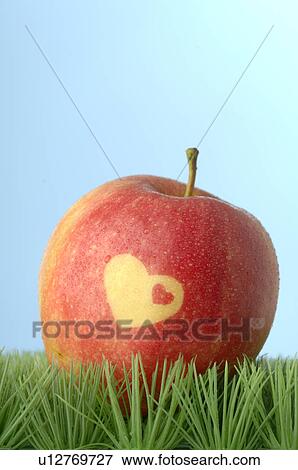 Apple with a heart pattern View Large Photo Image Stock Photo - Apple with a heart pattern. Fotosearch