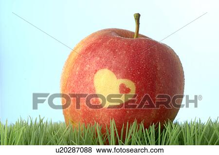 Apple with a heart pattern View Large Photo Image Stock Photo - Apple with a heart pattern. Fotosearch