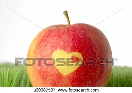 Stock Photo - Apple with a heart pattern. Fotosearch