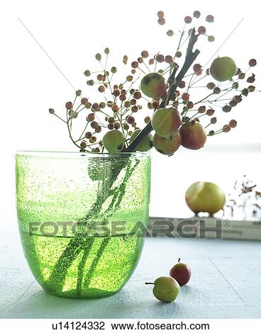 Apples and rose hips in a green glass vase View Large Photo Image Stock Image - Apples and rose hips in a green glass vase. Fotosearch