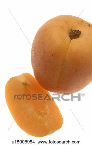 Picture - Apricot. Fotosearch