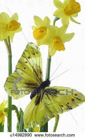Artificial brimstone butterfly View Large Photo Image Stock Image - Artificial brimstone butterfly. Fotosearch