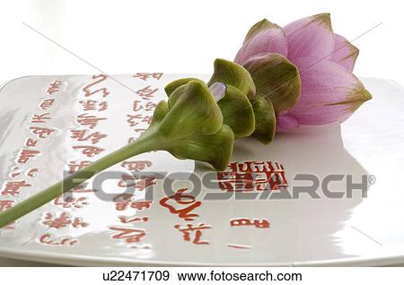 Asian plate with flower View Large Photo Image Stock Photo - Asian plate with flower. Fotosearch