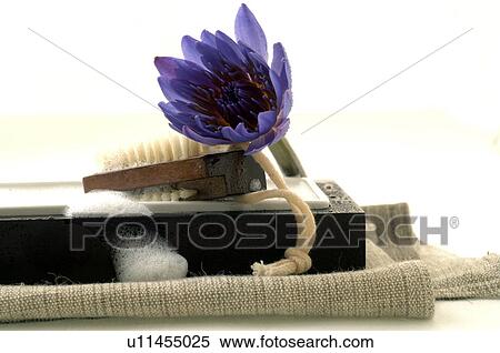Stock Photography - Badezimmer Stillleben mit blauer Blüte. Fotosearch
