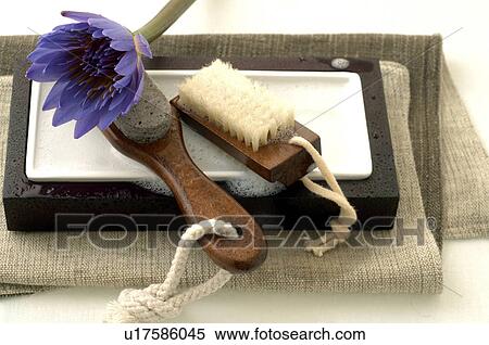 Stock Photography - Badezimmer Stillleben mit blauer Blüte. Fotosearch