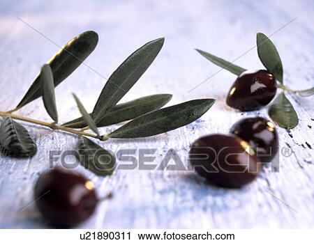 Stock Image - Black olives (Olea europaea). Fotosearch