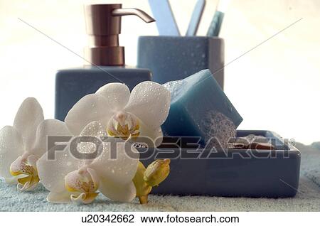Blue soap cube and a orchid blossom View Large Photo Image Stock Image - Blue soap cube and a orchid blossom. Fotosearch