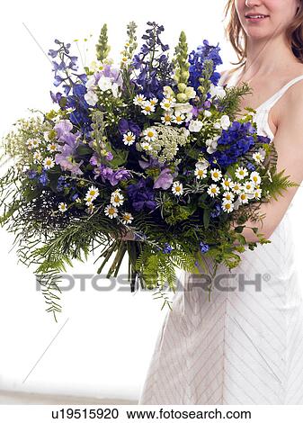 Bouquet of larkspur, vetch, camomile, phlox and fern View Large Photo Image Stock Image - Bouquet of larkspur, vetch, camomile, phlox and fern. Fotosearch