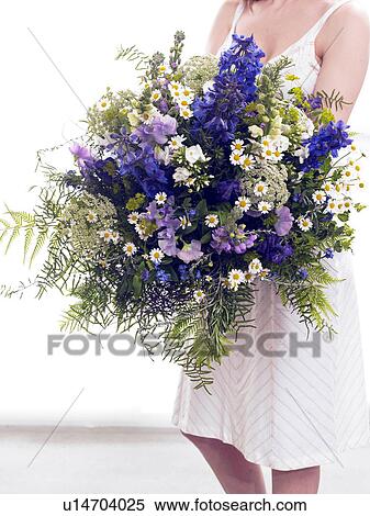 Bouquet of larkspur, vetch, camomile, phlox and fern View Large Photo Image Stock Photography - Bouquet of larkspur, vetch, camomile, phlox and fern. Fotosearch