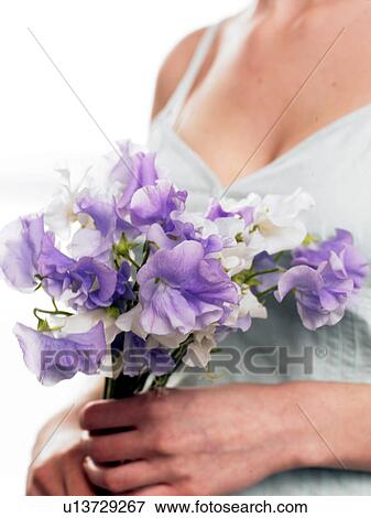 Stock Photo - Bouquet of sweet peas. Fotosearch