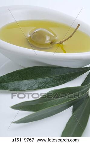 Stock Photo - Bowl of olive oil an leaf. Fotosearch