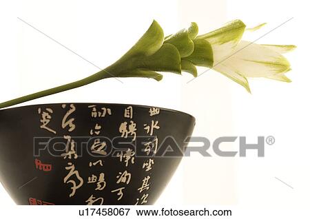 Bowl with asian character View Large Photo Image Stock Photo - Bowl with asian character. Fotosearch